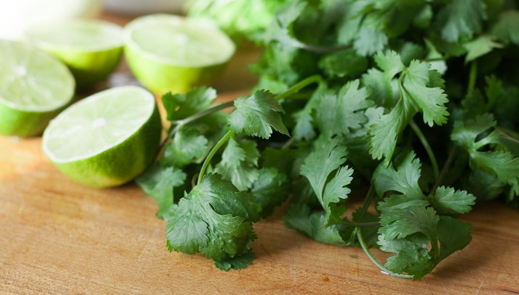 meal planning and meal prep - creating a meal plan